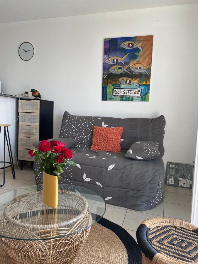 Appartement T2, Climatise, Wifi, Parking Et Piscine Prives Sete Ngoại thất bức ảnh